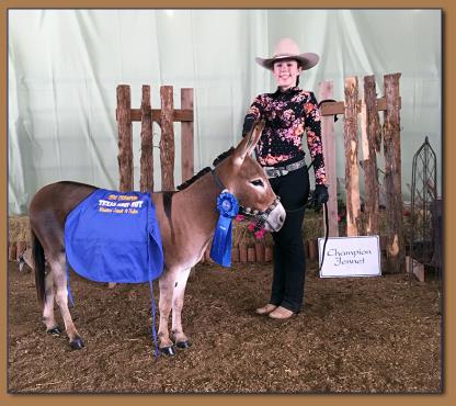 Rodeo Center Ranch Shows