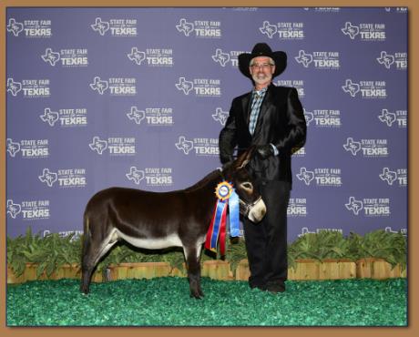 Rodeo Center Ranch Shows
